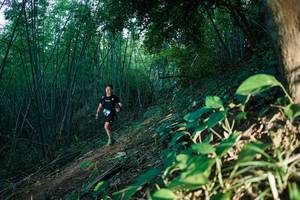 BIB: 
                            <button type="button" onclick="openModal(28124711)" class="btn btn-primary btn-sm float-right btn-popup" data-toggle="modal" data-target=".modal-high-quality">
                        <i class="fas fa-shopping-cart"></i> Add to Cart
                    </button>
                                            <button type="button" onclick="isThisMe(28124711, true)" class="btn btn-success btn-sm float-right btn-popup btn-isme hidden" data-toggle="tooltip" data-placement="bottom" title="นี่คือรูปของคุณใช่ไหม คลิกที่นี่เพื่อเอาเข้าอัลบั้ม">
                        <i class="fas fa-plus"></i> Add to album
                    </button>
                    <button type="button" onclick="isThisMe(28124711, false)" class="btn btn-warning btn-sm float-right btn-popup btn-isnotme hidden">
                        <i class="fas fa-ban"></i> Remove from album
                    </button>